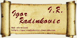 Igor Radinković vizit kartica